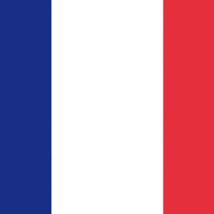 Bandiera Francia